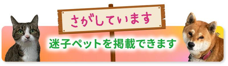 迷子ペットを掲載できます