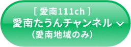 愛南タウンチャンネル(愛南地域のみ)