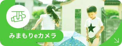 みまもりeカメラ